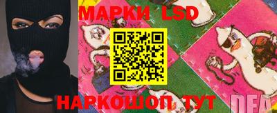 мдма Кингисепп