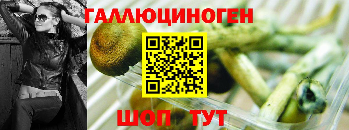 Псилоцибиновые грибы мухоморы  Псилоцибиновые грибы мицелий  Вход с VPN  Армавир 